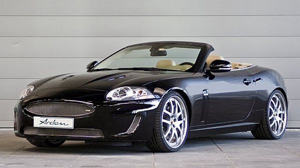 Jaguar 1..jpg